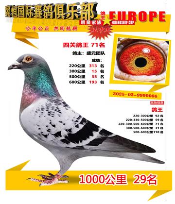ǧ����29��