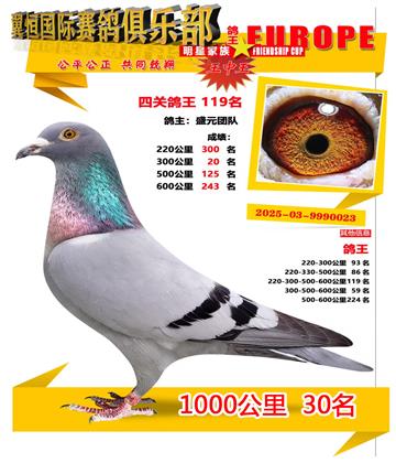 ǧ����30��