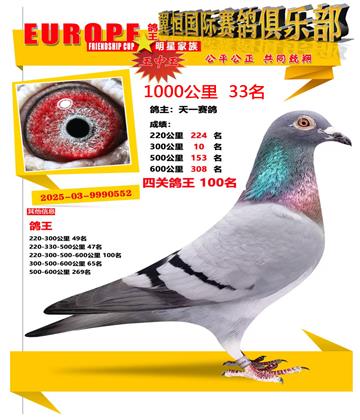 ǧ����33��