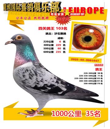 ǧ����35��