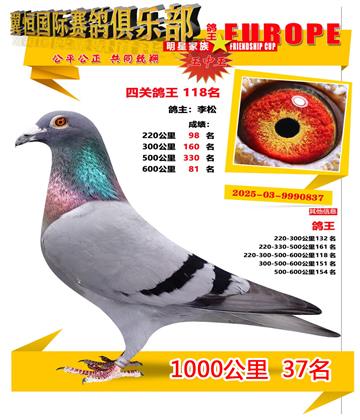 ǧ����37��