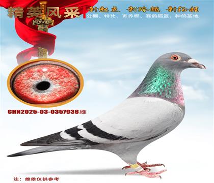 �Ǳ�4545˫�ػ�Ѫ