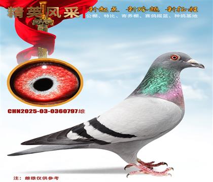 �����λ���塢9���Ӵ�