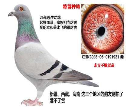 最牛血系,超级家族(东方不败近亲)