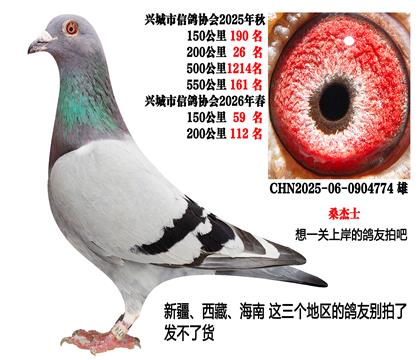 一关上岸神器(桑杰士)