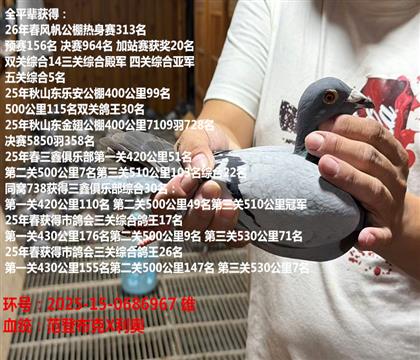 26��緫���ص�� �Ĺ��Ǿ� ���5��ȫƽ��