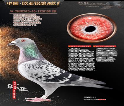 ղɭԭ�ᡰ�����š�131XֱŮ653