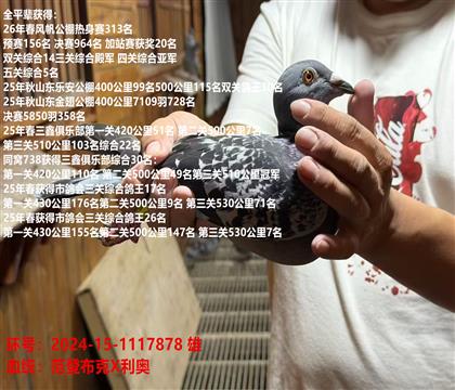 26��緫���ص�� �Ĺ��Ǿ� ���5��ȫƽ��