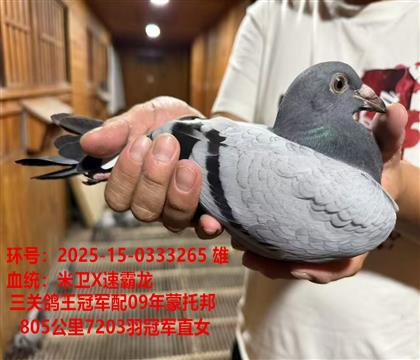 ���ظ����ھ�X���а�805����7203��ھ�ֱŮ