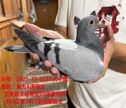���ظ����ھ�X���а�805����7203��ھ�ֱŮ