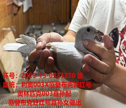 ����ƥ��003X���ǲ��˺ú��ֱ��Ů