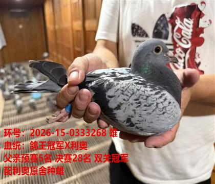 �����ھ�X����ԭ���ִ�