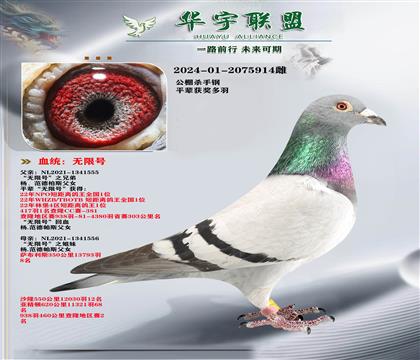 �����˹ ���޺�֮�ֵ�X���޺�֮��� ��ķ