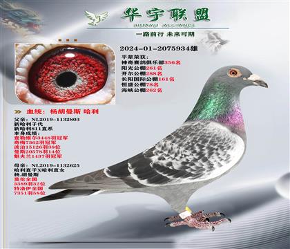 �����˹ �¹���ֱ��X����ֱ��Ů