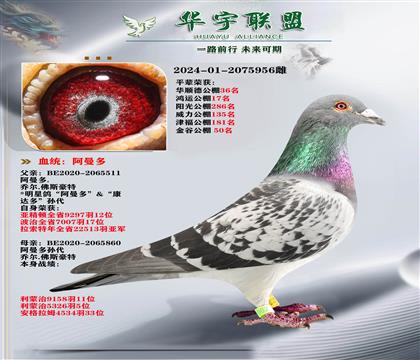 ��������� ������ֱ��X������ֱ��Ů �����ָ�