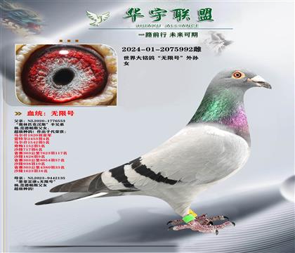 ��������� ���޺�����Ů ������ķ