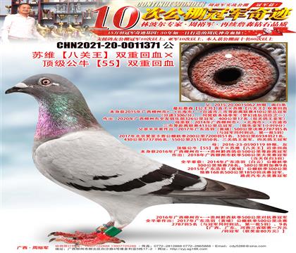 ��ά���˹�����˫�ػء�������ţ��55��˫���׻�Ѫ