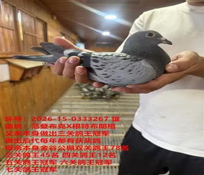 �Ĺظ���12��ظ����ھ����ظ����ھ��߹ظ����ھ�ֱ��