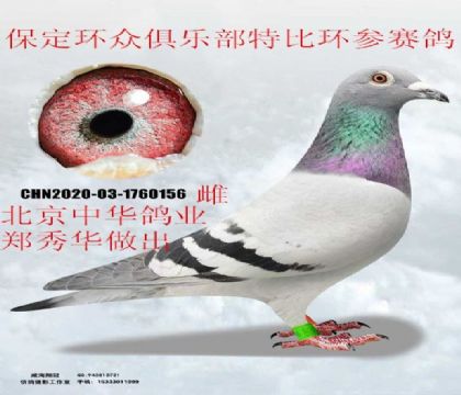 ���ұ����л�����֣�㻪�������������ر�