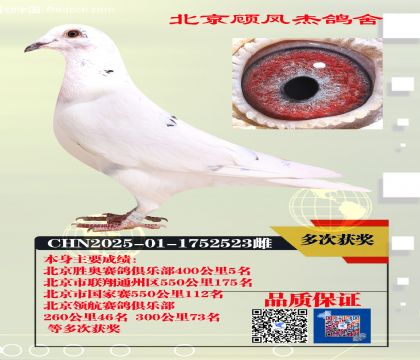 400公里5名多次高位