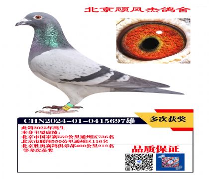 联翔116名