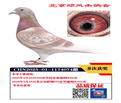 国家赛66名