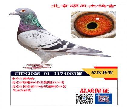 国家赛93名 联翔161名