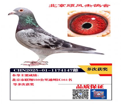 联翔161名