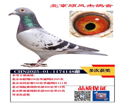 国家赛111名