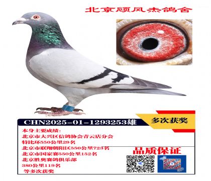 特比环29名