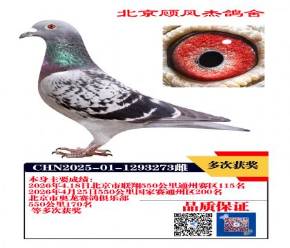 联翔115名