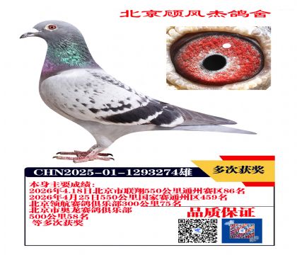 联翔86名