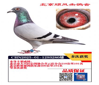 210公里101名