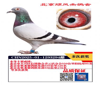 特比环95名