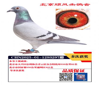 特比环82名