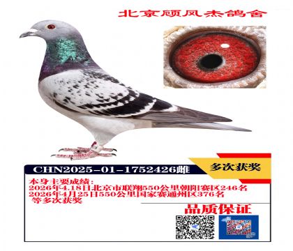联翔246名
