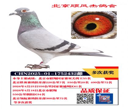 国家赛联翔双关鸽王55名