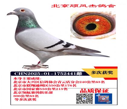联翔178名 国家赛215名