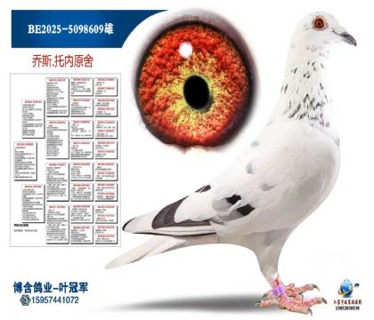 BE2025-5098609雄
