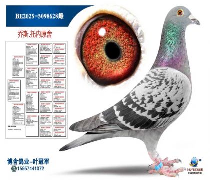 BE2025-5098628雌