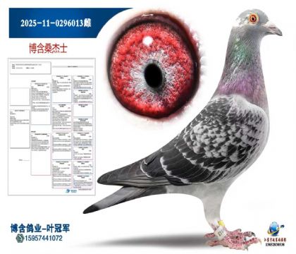 2025-11-0296013雌