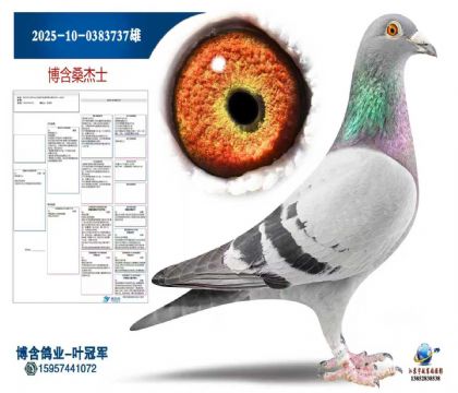 2025-10-0383737雄