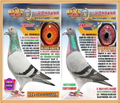 ���ҽ�ķ110�����ķ110��Ů.ƽ��Ӯ������.������ǧ��
