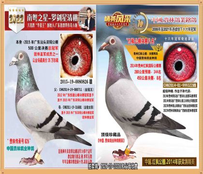 35��Ũ�蹫��ھ�ֱ�����㹫��8�����ֱŮ