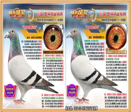 �����ƽ����ֱŮ.ƽ��������ϲ����8����ָ����10��ھ�