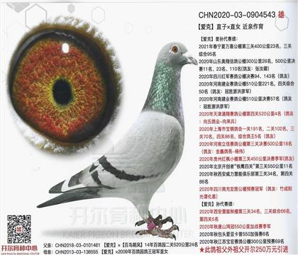 Ѫͳ�鱳��