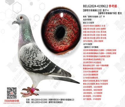 ���ض�������123ֱ�ӡ����ض�������788ֱŮ