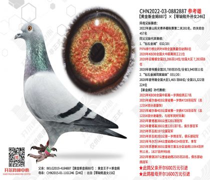 �ƽ��½�ķ887����ȱ������Ů246