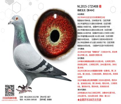 2����-1725408