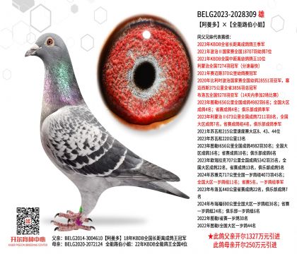 2����-2028309
